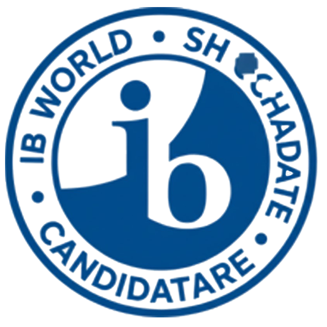 Icon 1